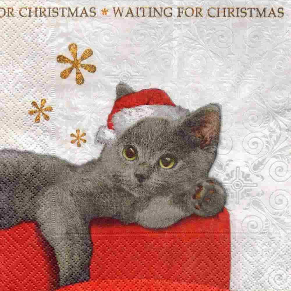 Tischlaternen Weihnachten - Serviettentechnik Kater