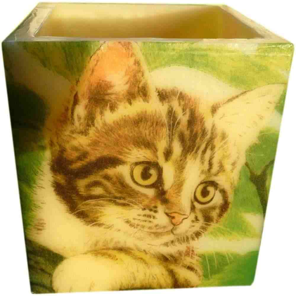 Windlichter aus Wachs - Katzenporträt