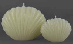 SET Jakobsmuscheln, Bienenwachs 