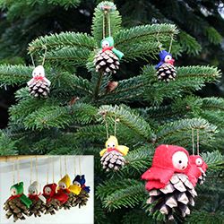 Bild für Kategorie Zapfen vom Kiefernbaum